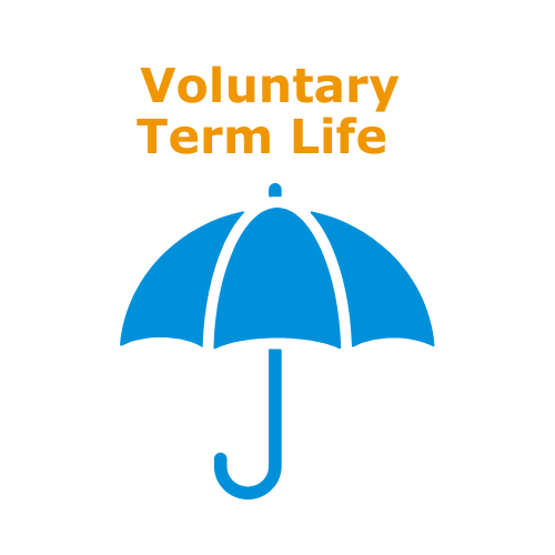 Voluntary Term Life