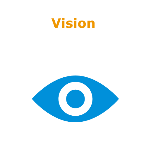 Vision