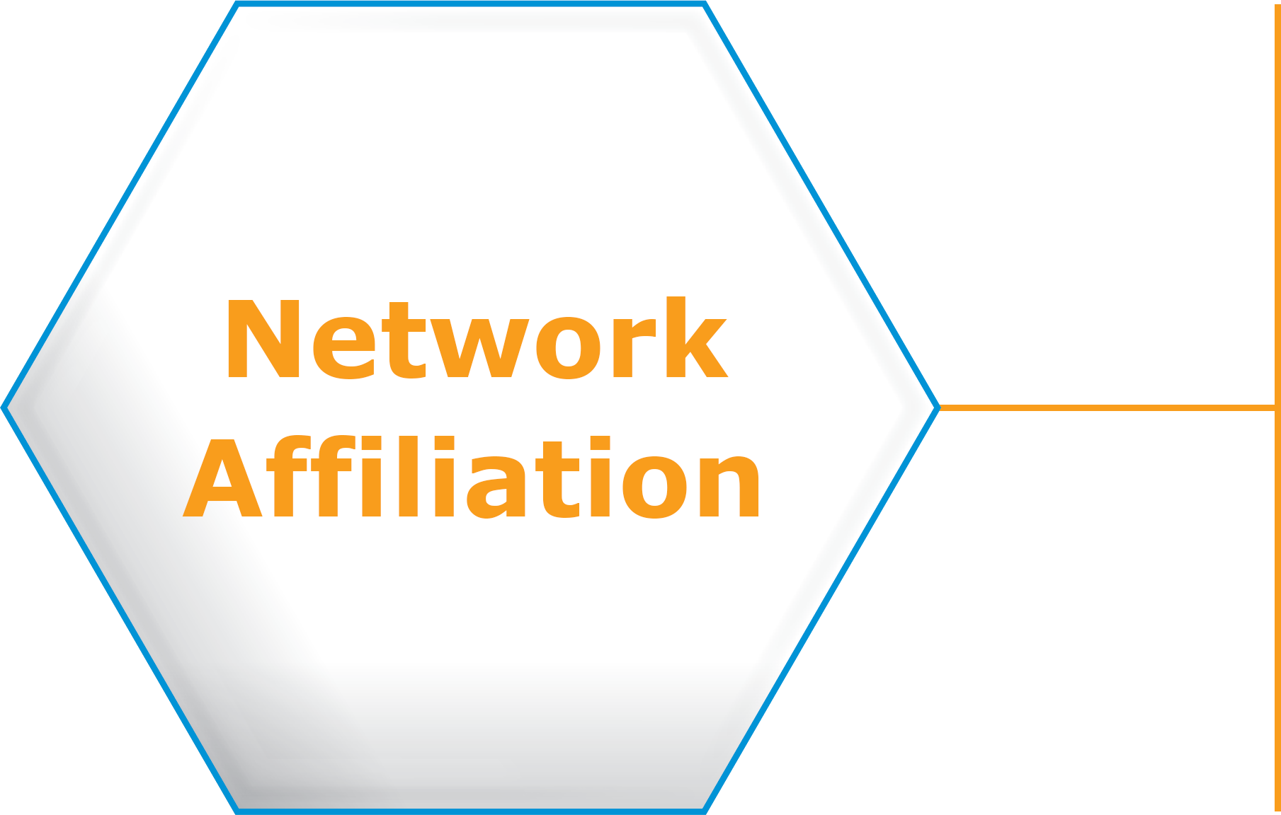 Network Affiliation Network Affiliation
